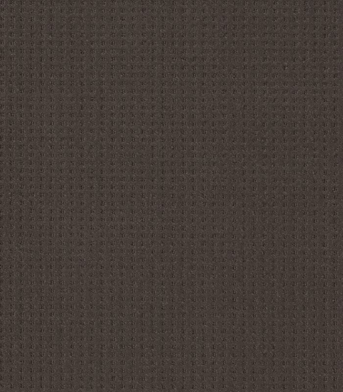 Shaw Floors Nfa Linvale Burma Brown