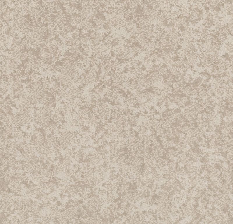 Shaw Floors Nfa Well Minded Delicate Cream