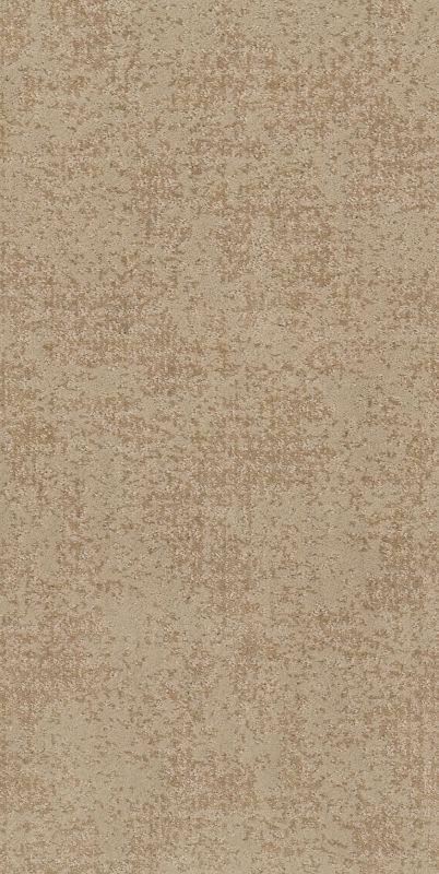 Shaw Floors Nfa Day Bright Natural Beauty