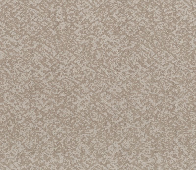 Shaw Floors Nfa Flowing Spirit Baltic Stone