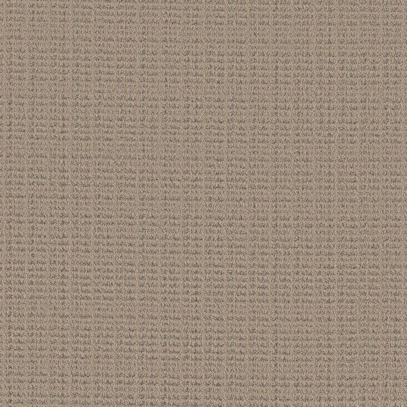 Shaw Floors Nfa Charmed Jewel Beige Bisque