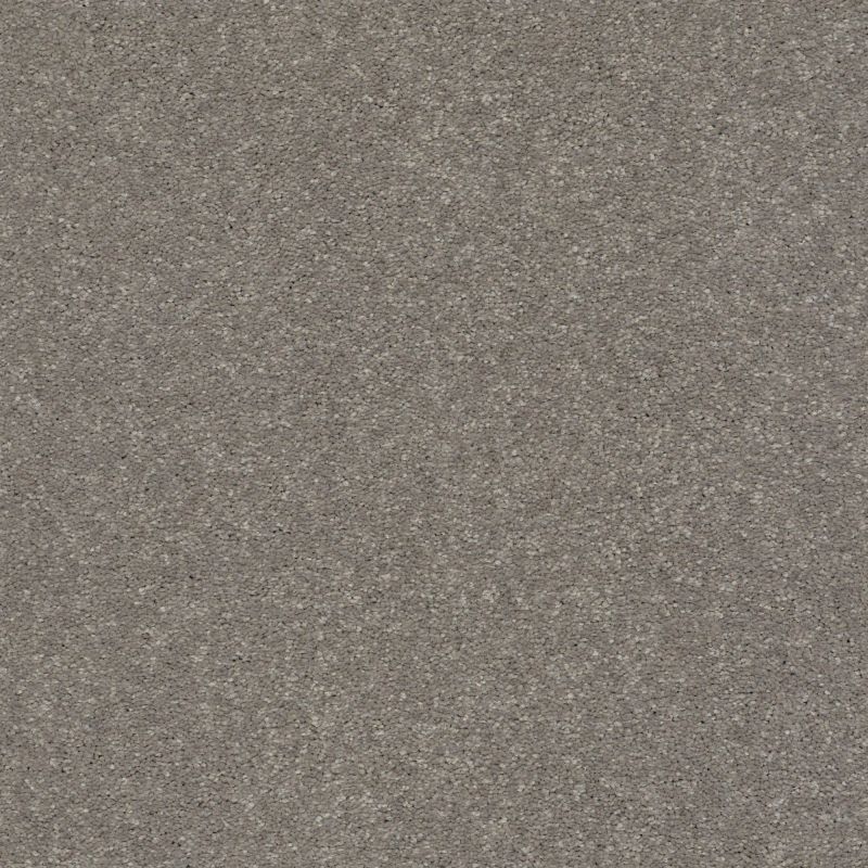 Shaw Floors Nfa Relentless II 15 Tree Bark