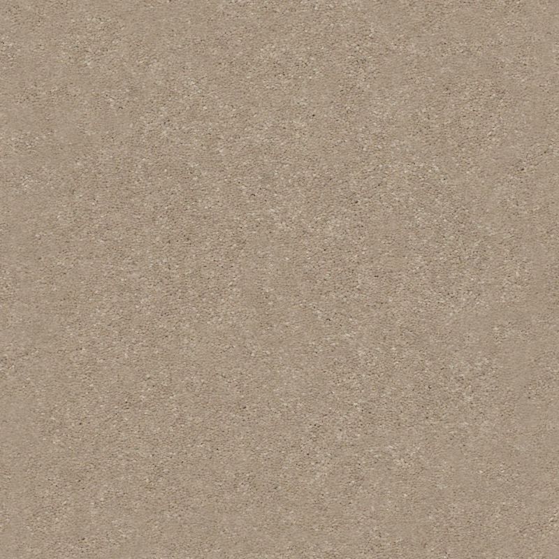 Shaw Floors Nfa Relentless III 15 Raw Lumber