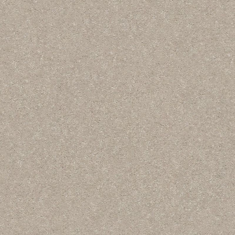 Shaw Floors Nfa Relentless III 15 Dreamy