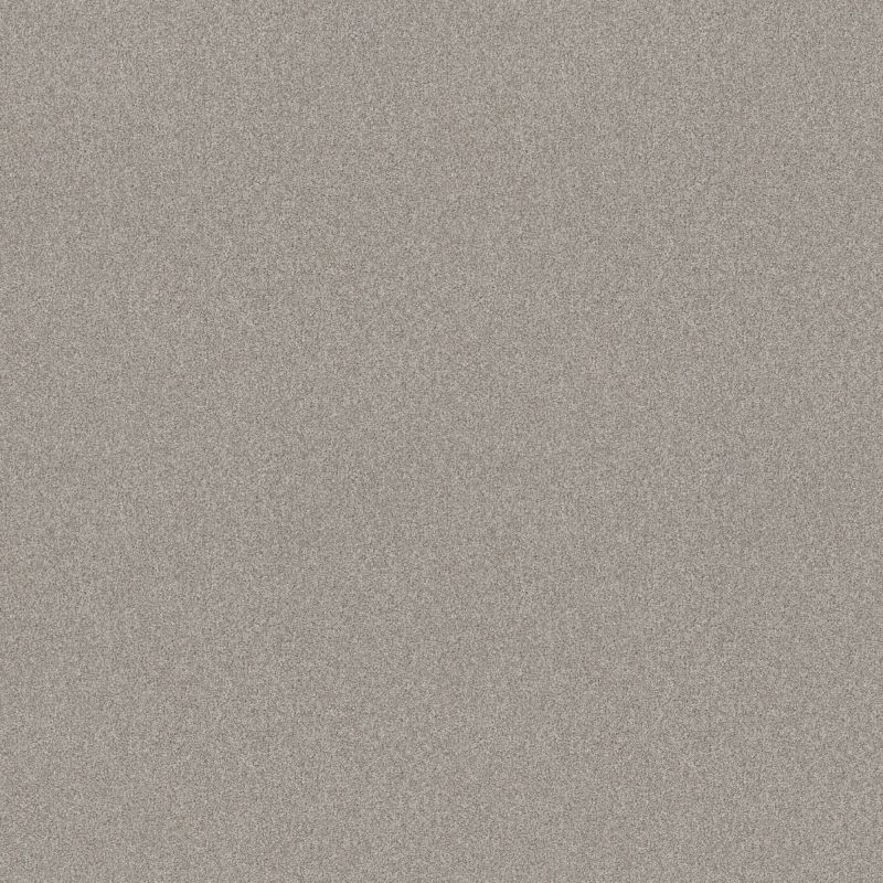 Shaw Floors Nfa Memorable II Baltic Stone