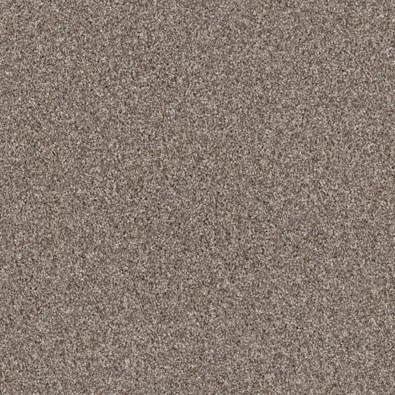 Shaw Floors Nfa Monstera Chestnut