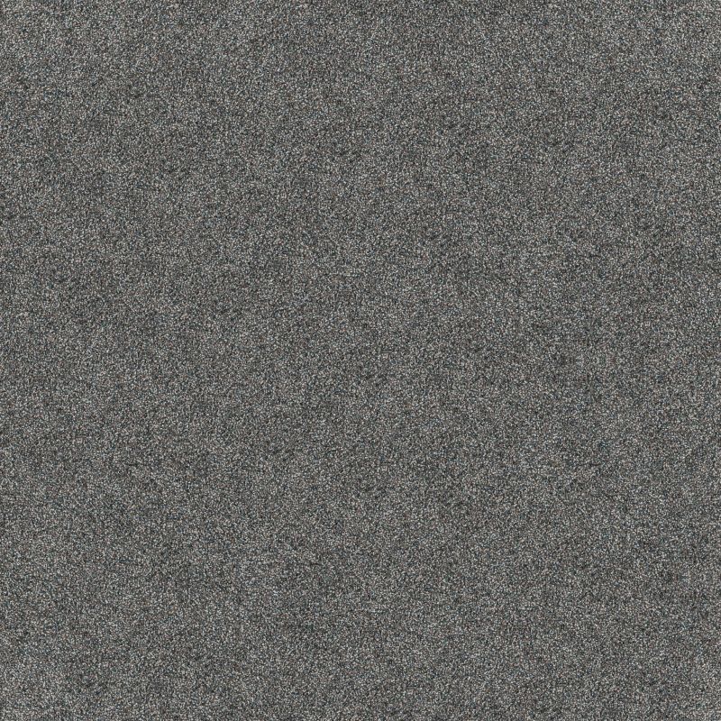 Shaw Floors Nfa Cavallini Turquoise Jewel