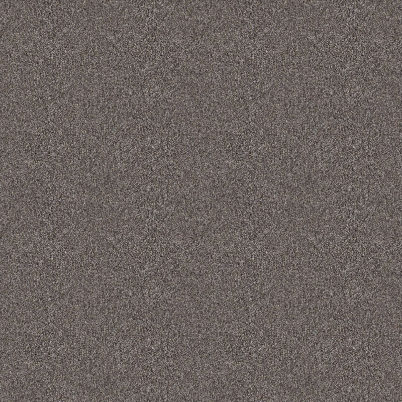 Shaw Floors Nfa Cavallini Desert View