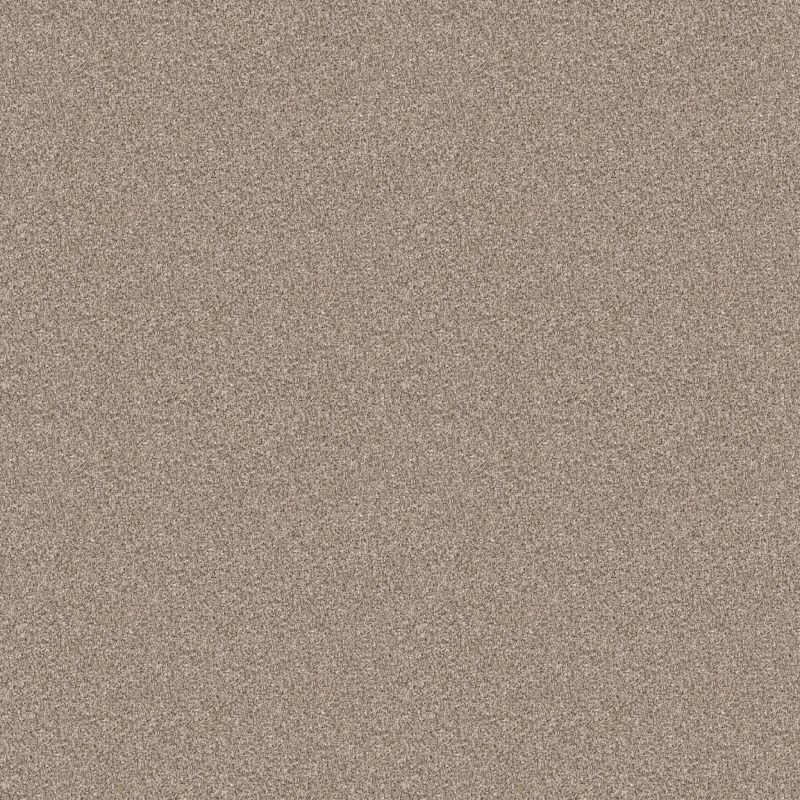 Shaw Floors Nfa Cavallini Sunkissed