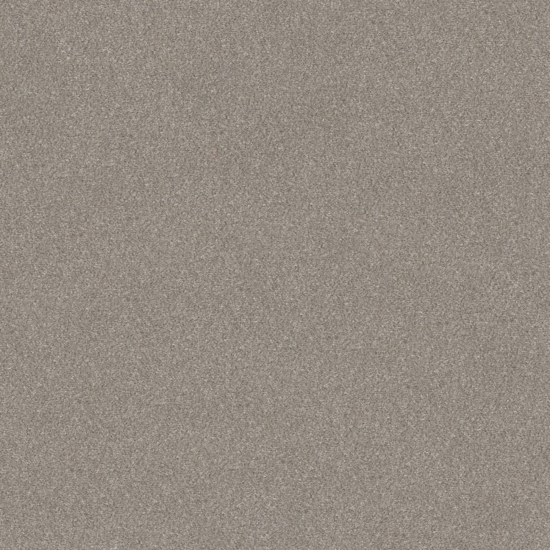Shaw Floors Nfa Provisional II Heather
