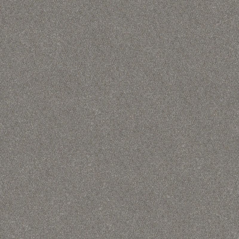 Shaw Floors Nfa Provisional II Stainless