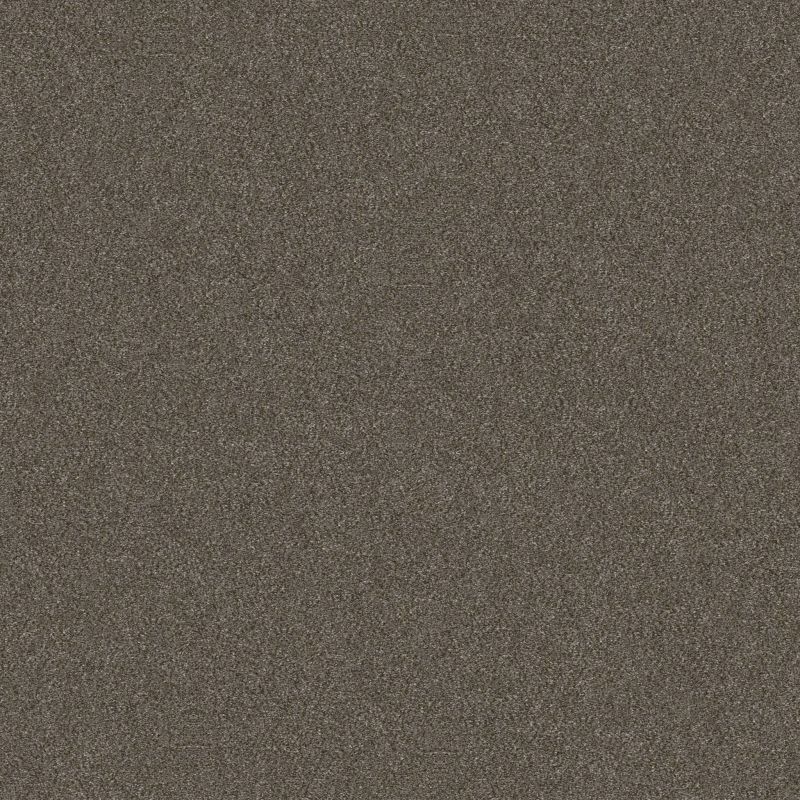 Shaw Floors Nfa Provisional II Boardwalk