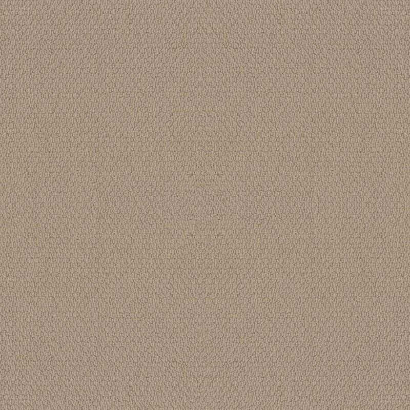 Shaw Floors Nfa Captious Wheat