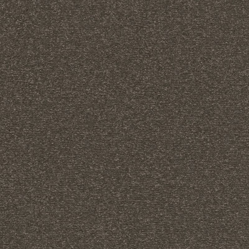 Shaw Floors Nfa Good Life Urban Rustic