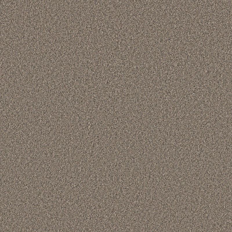 Shaw Floors Nfa Artsy II Sea Shell