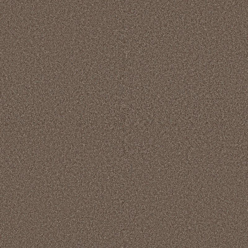 Shaw Floors Nfa Artsy II Orange Oxide