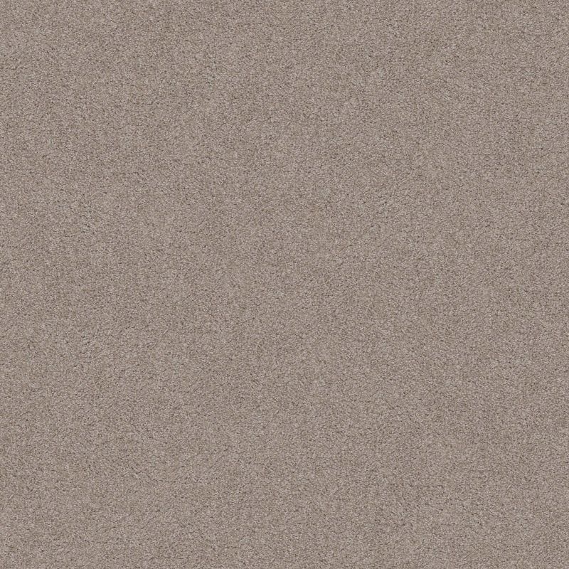 Shaw Floors Nfa Inspire Me I Khaki
