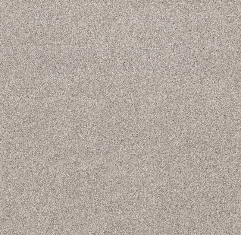Shaw Floors Nfa Simple Life Brushed Aluminu