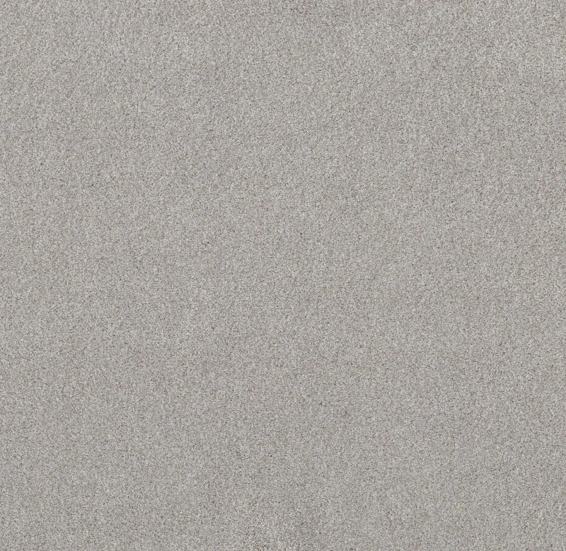 Shaw Floors Nfa Simple Life Vapor