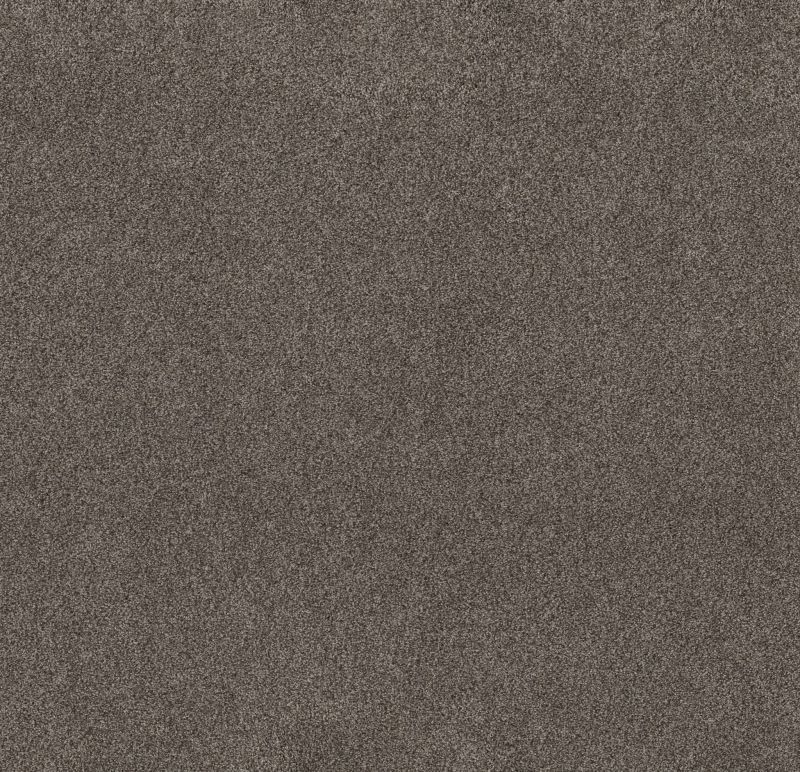 Shaw Floors Nfa Simple Life Woodcliff Brown