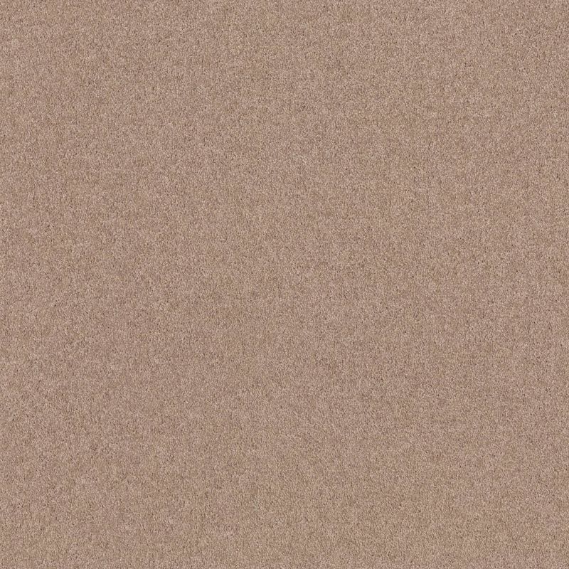 Shaw Floors Queen Knockout II 12' Mocha Nut