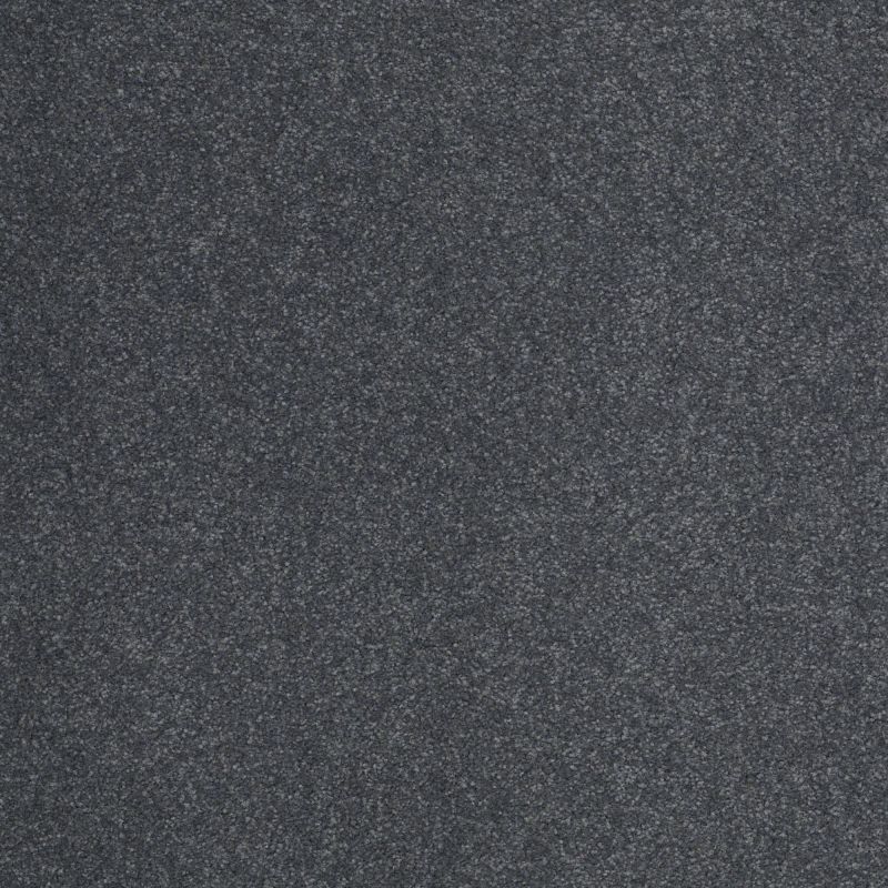 Shaw Floors Shaw Flooring Gallery Truly Modern III 12' Cadet