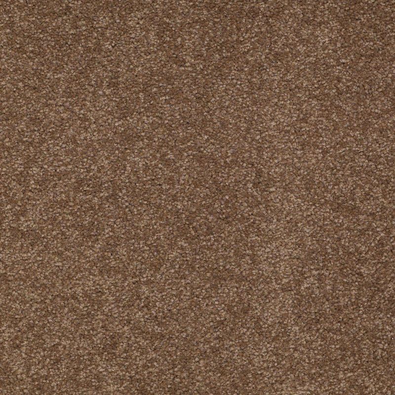Shaw Floors Shaw Flooring Gallery Truly Modern III 15' Pine Cone