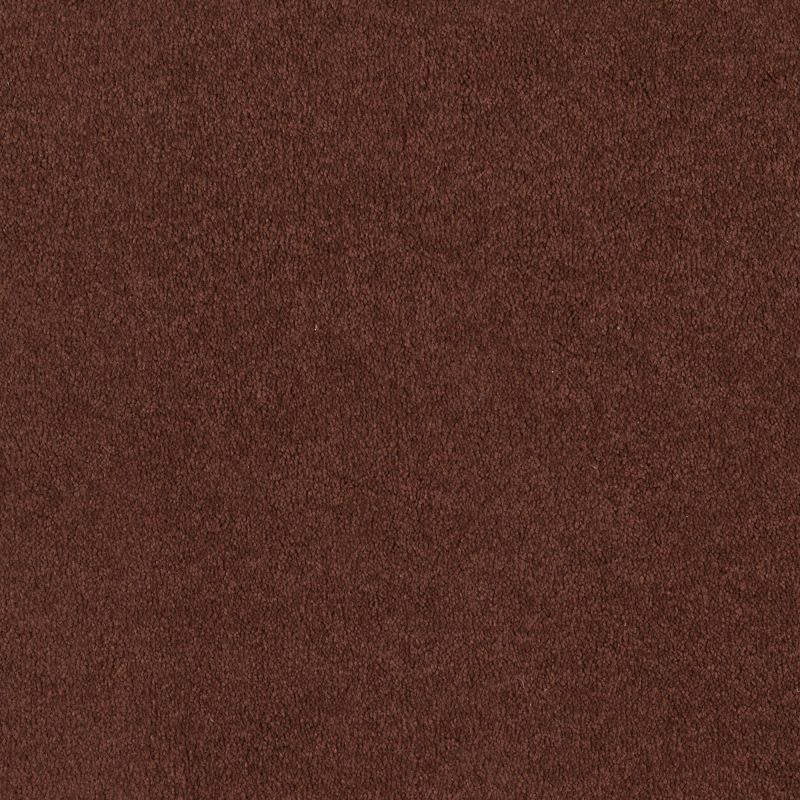 Shaw Floors Sandy Hollow I 12' Spanish Tile