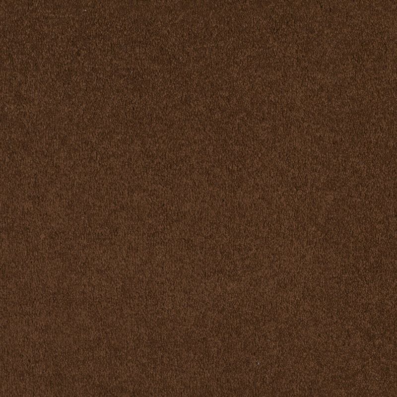 Shaw Floors Sandy Hollow I 12' Tortoise Shell