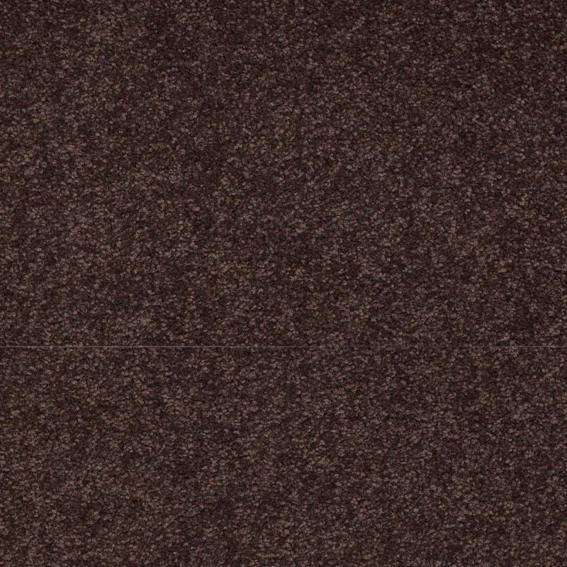 Shaw Floors Sandy Hollow II 15' Tundra