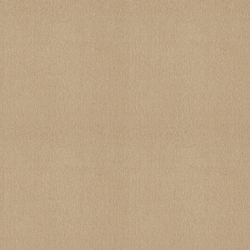 Shaw Floors Sandy Hollow III 12' Cashew
