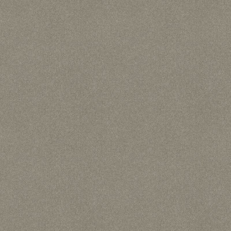 Shaw Floors Sandy Hollow III 12' Silver Charm