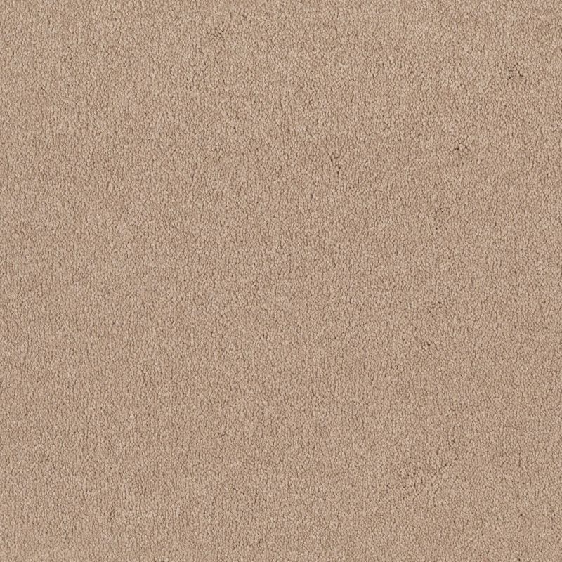Shaw Floors SFA Timeless Appeal I 12' Cashew