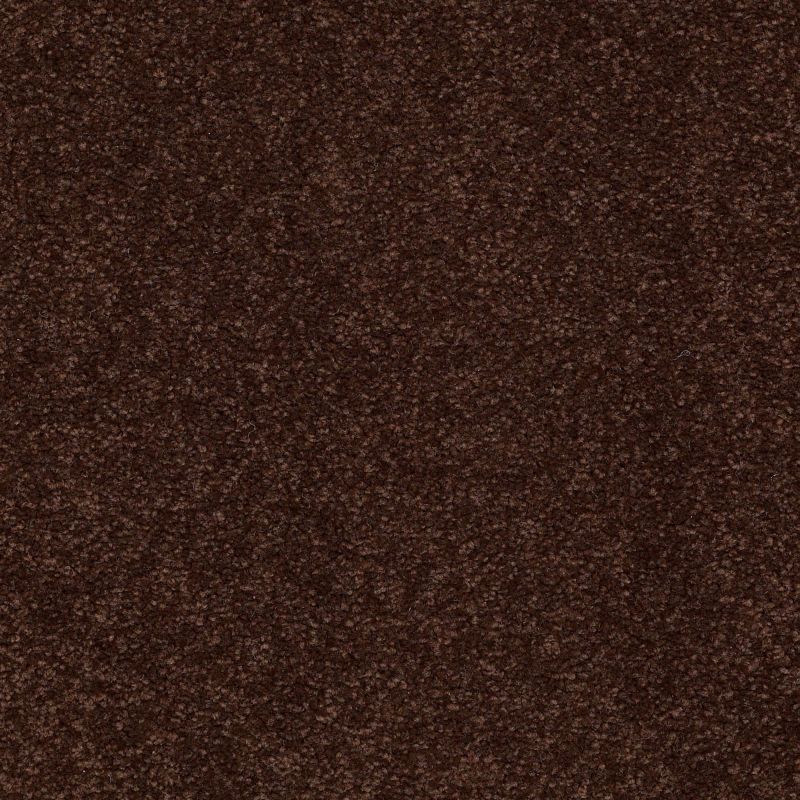 Shaw Floors SFA Timeless Appeal I 12' Coffee Bean
