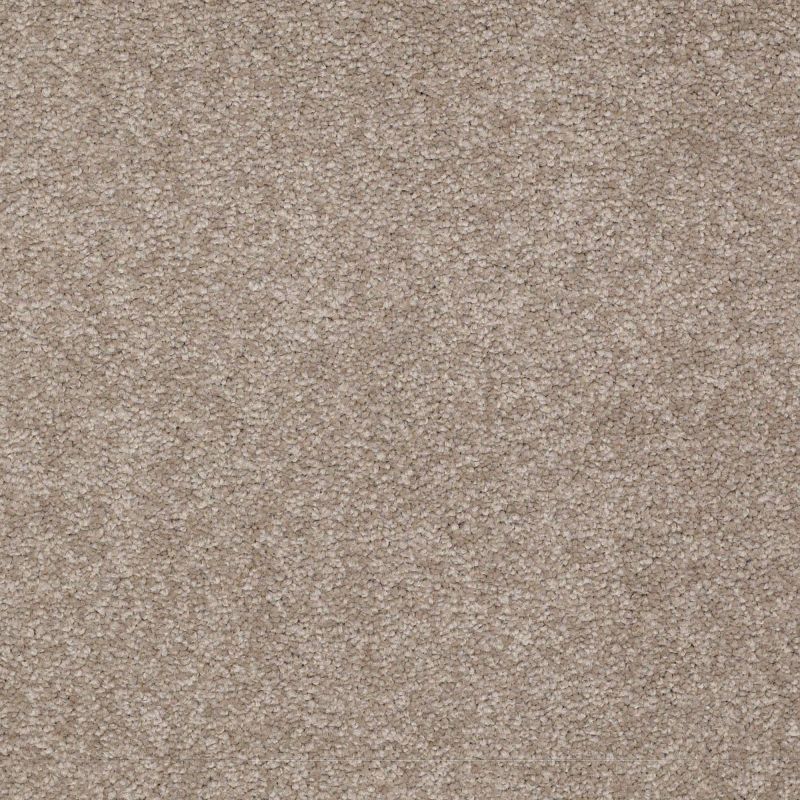 Shaw Floors SFA Timeless Appeal III 15' Chinchilla