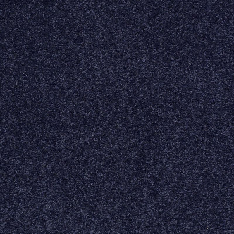 Shaw Floors Anso Premier Dealer Great Effect I 12' Indigo
