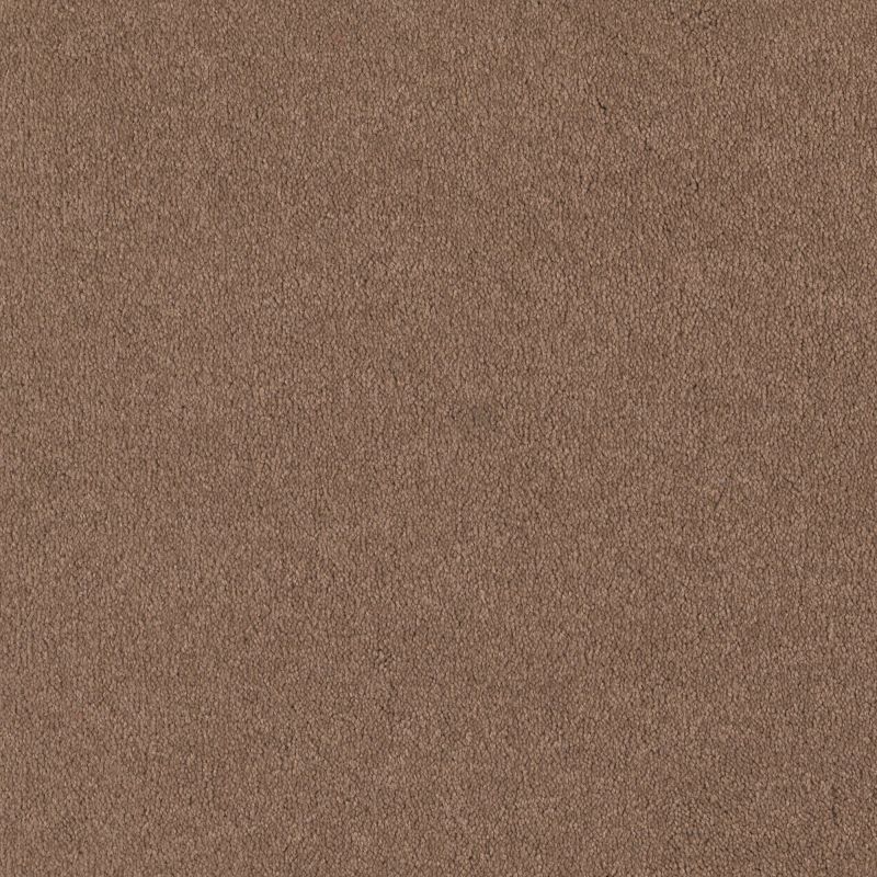 Shaw Floors Anso Premier Dealer Great Effect I 12' Muffin