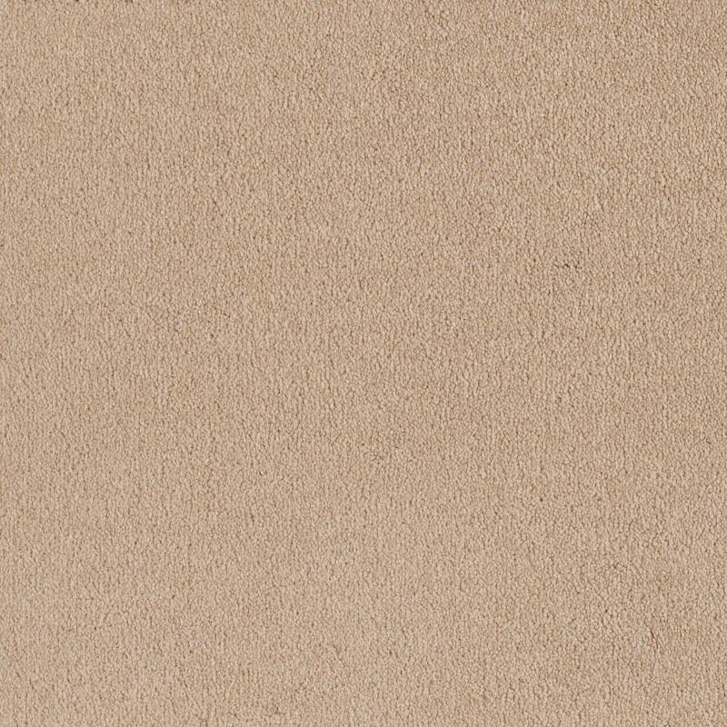 Shaw Floors Shaw Floor Studio Bright Spirit I 12 Almond Flake