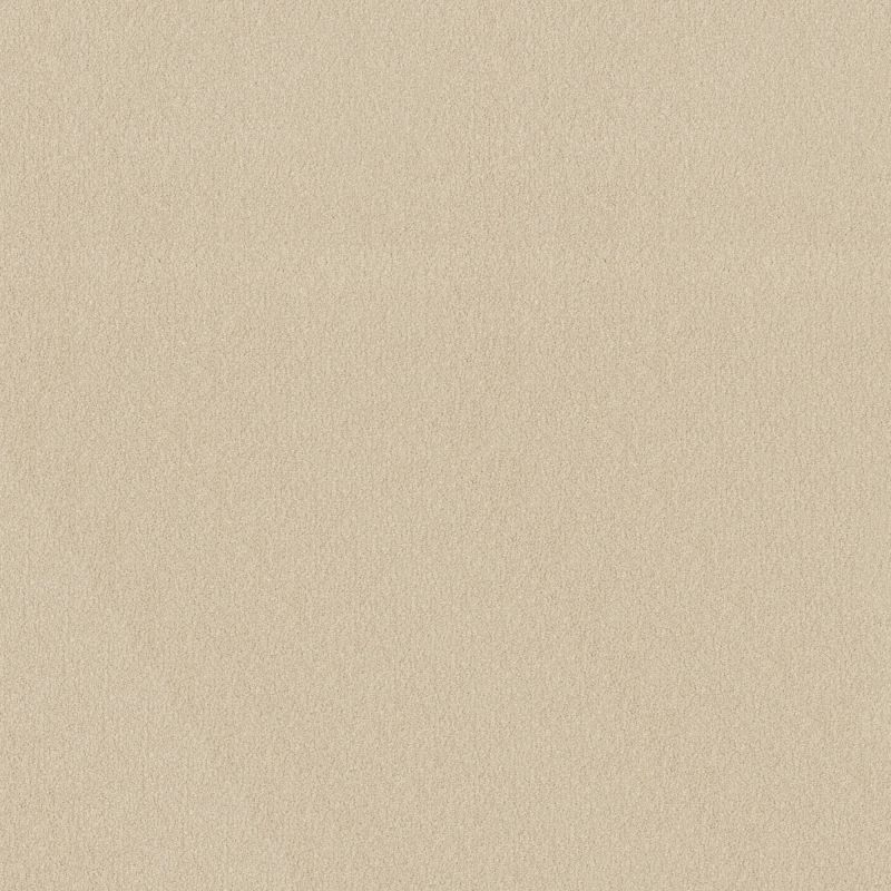 Shaw Floors Sophistication 12' Mushroom