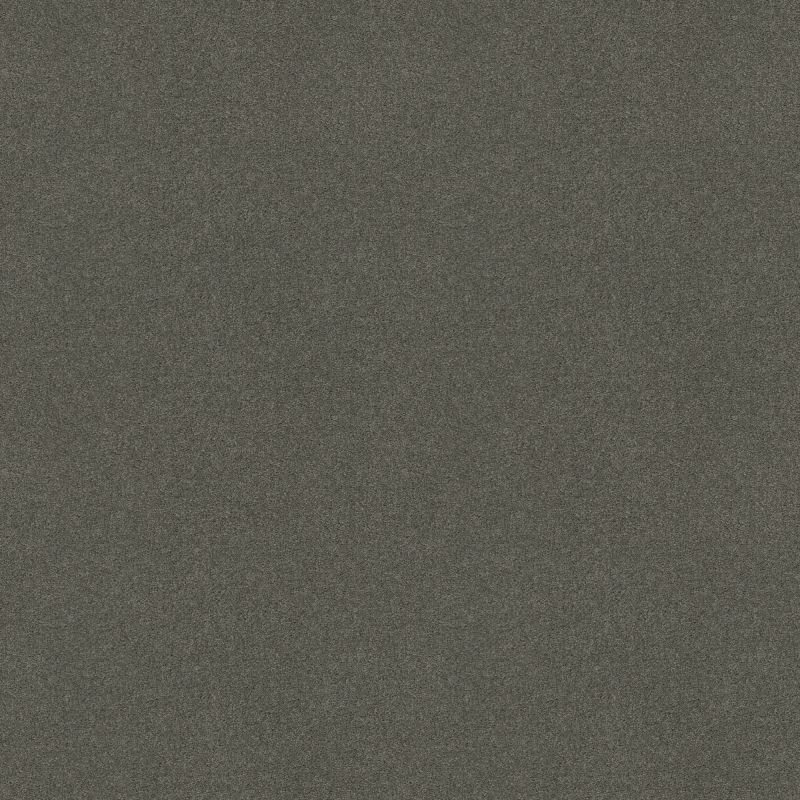 Shaw Floors Sophistication 12' Slate