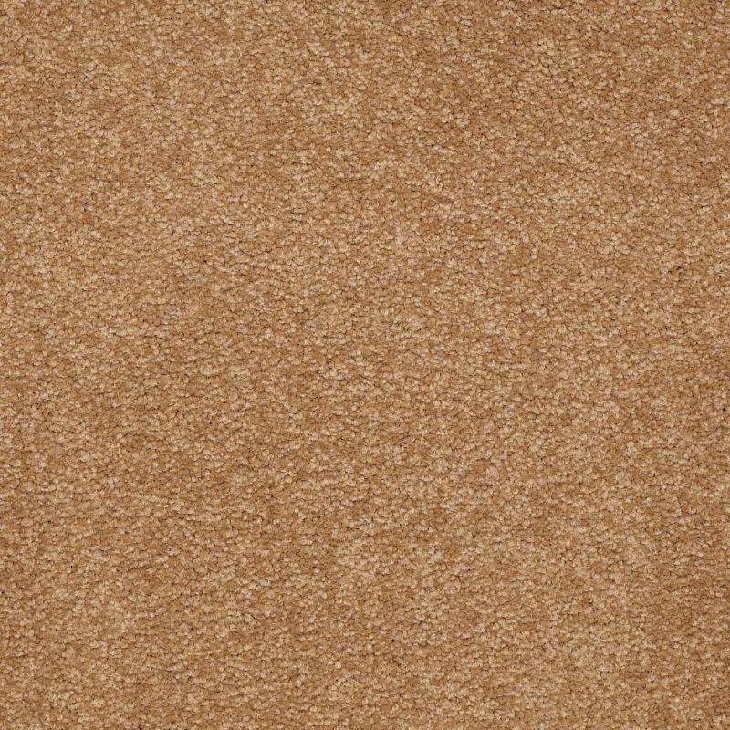 Shaw Floors Sophistication 12' Peanut Brittle