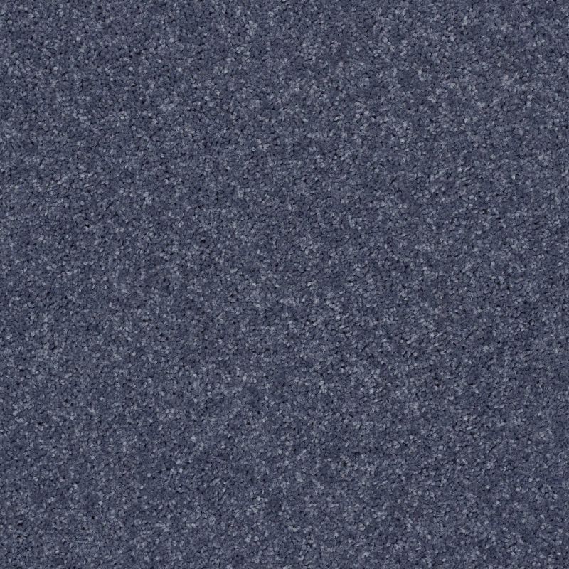 Shaw Floors Queen Point Guard 15' Charcoal