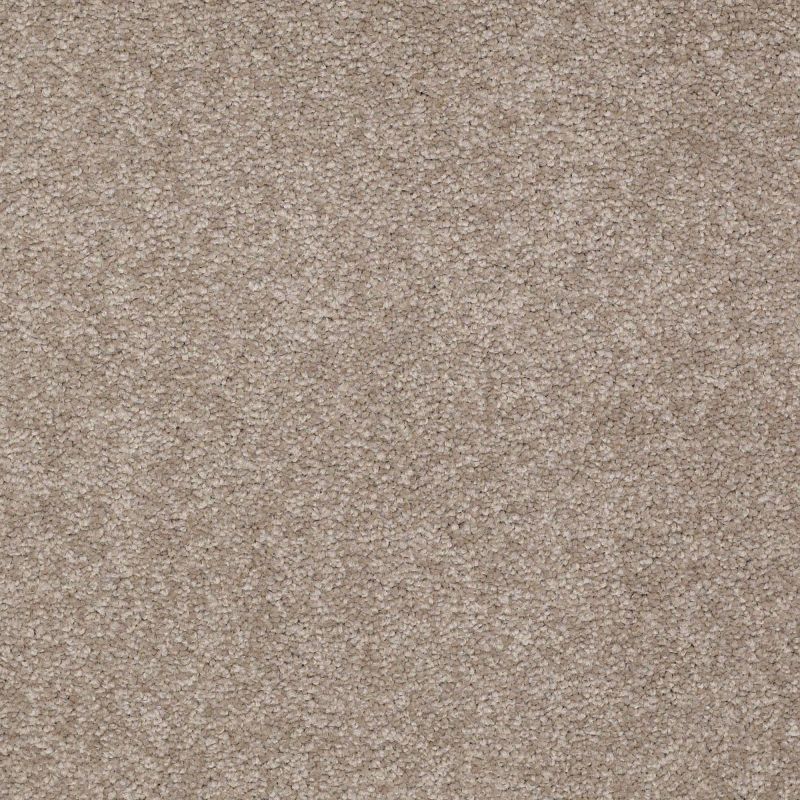 Shaw Floors Shaw Design Center Sweet Valley I 12' Chinchilla