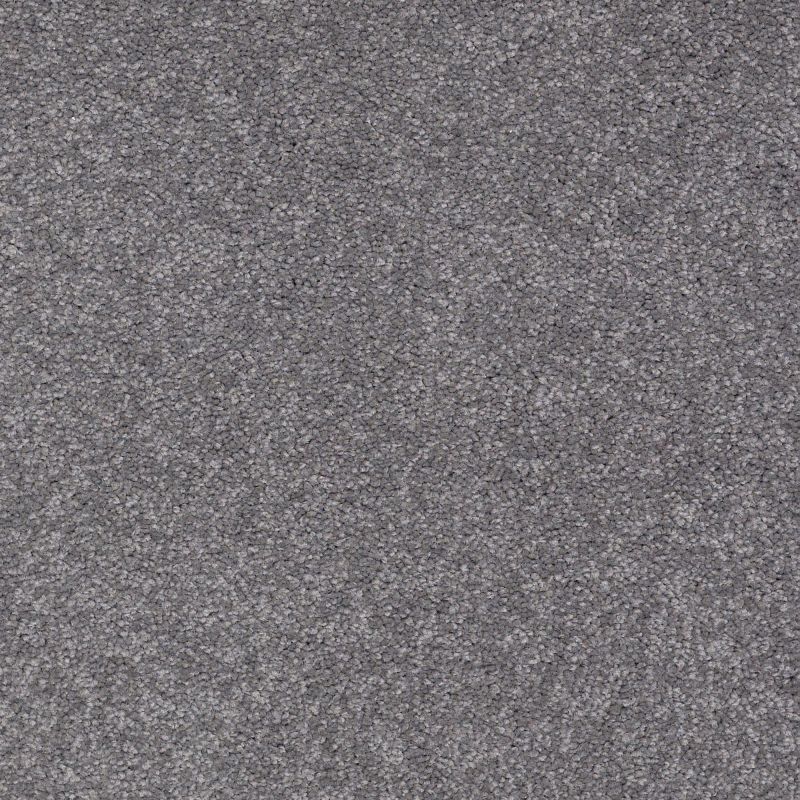 Shaw Floors Shaw Design Center Sweet Valley I 12' Slate