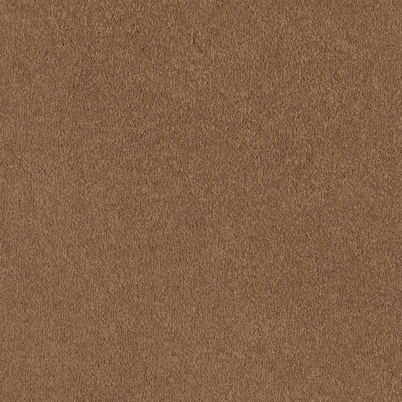 Shaw Floors Shaw Design Center Sweet Valley I 12' Peanut Brittle