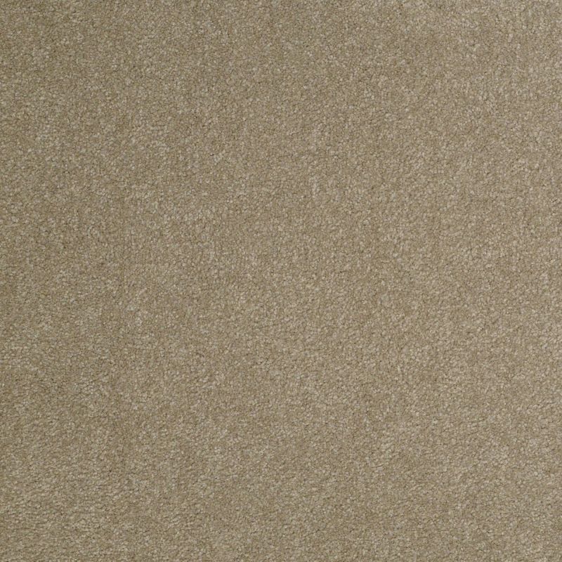 Shaw Floors Shaw Design Center Sweet Valley III 12' Chinchilla