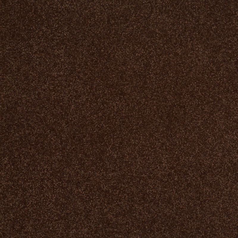 Shaw Floors Shaw Design Center Sweet Valley III 12' Coffee Bean