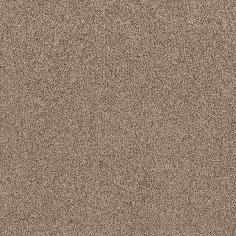 Shaw Floors Roll Special Qs157 12' Soft Shadow