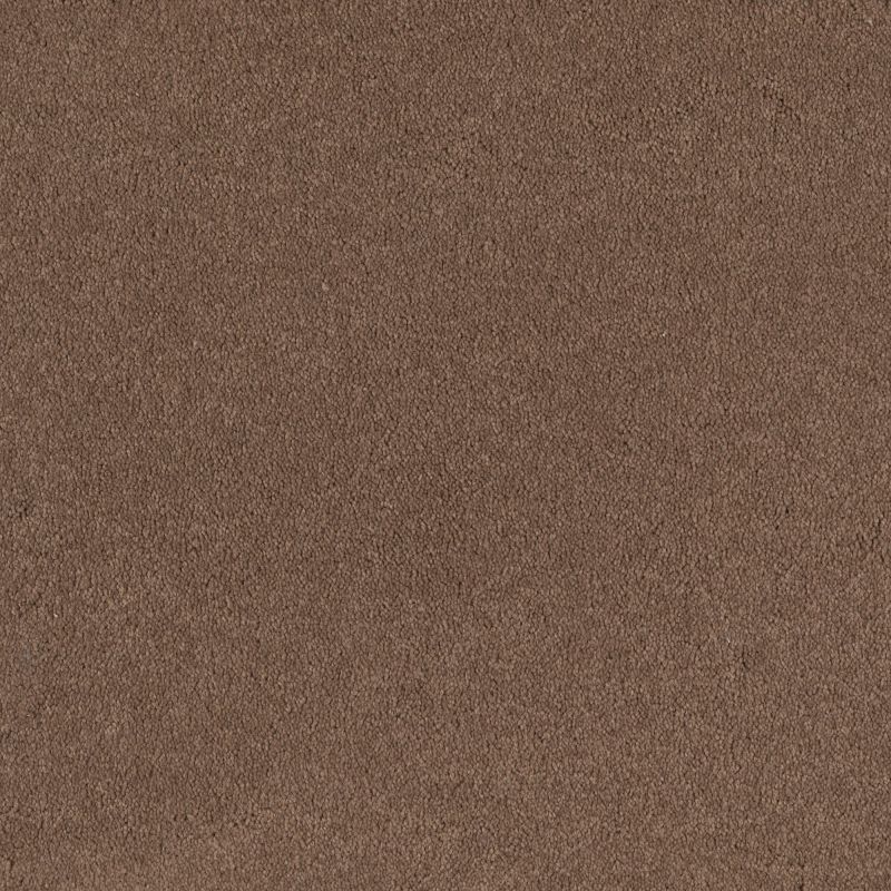 Shaw Floors Roll Special Qs157 12' Mojave