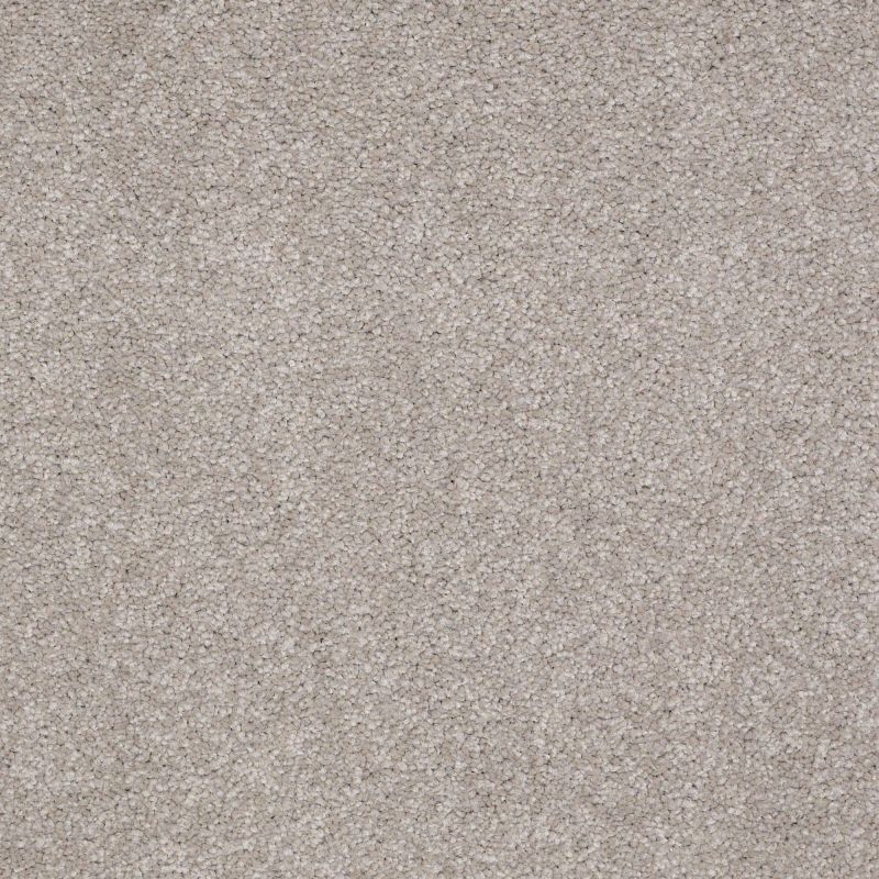 Shaw Floors Roll Special Qs157 12' London Fog